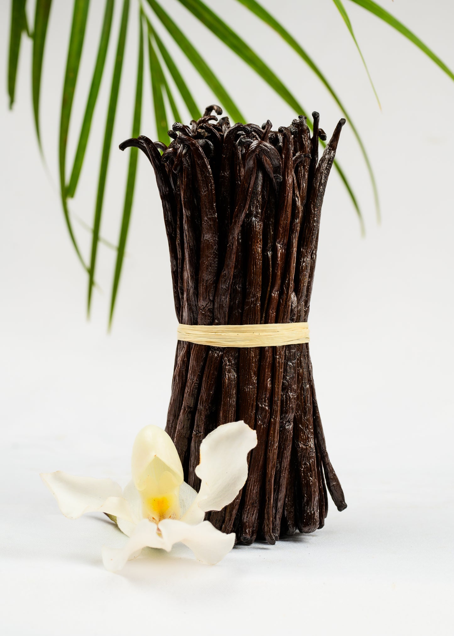 Vanille bourbon de Madagascar - 500g